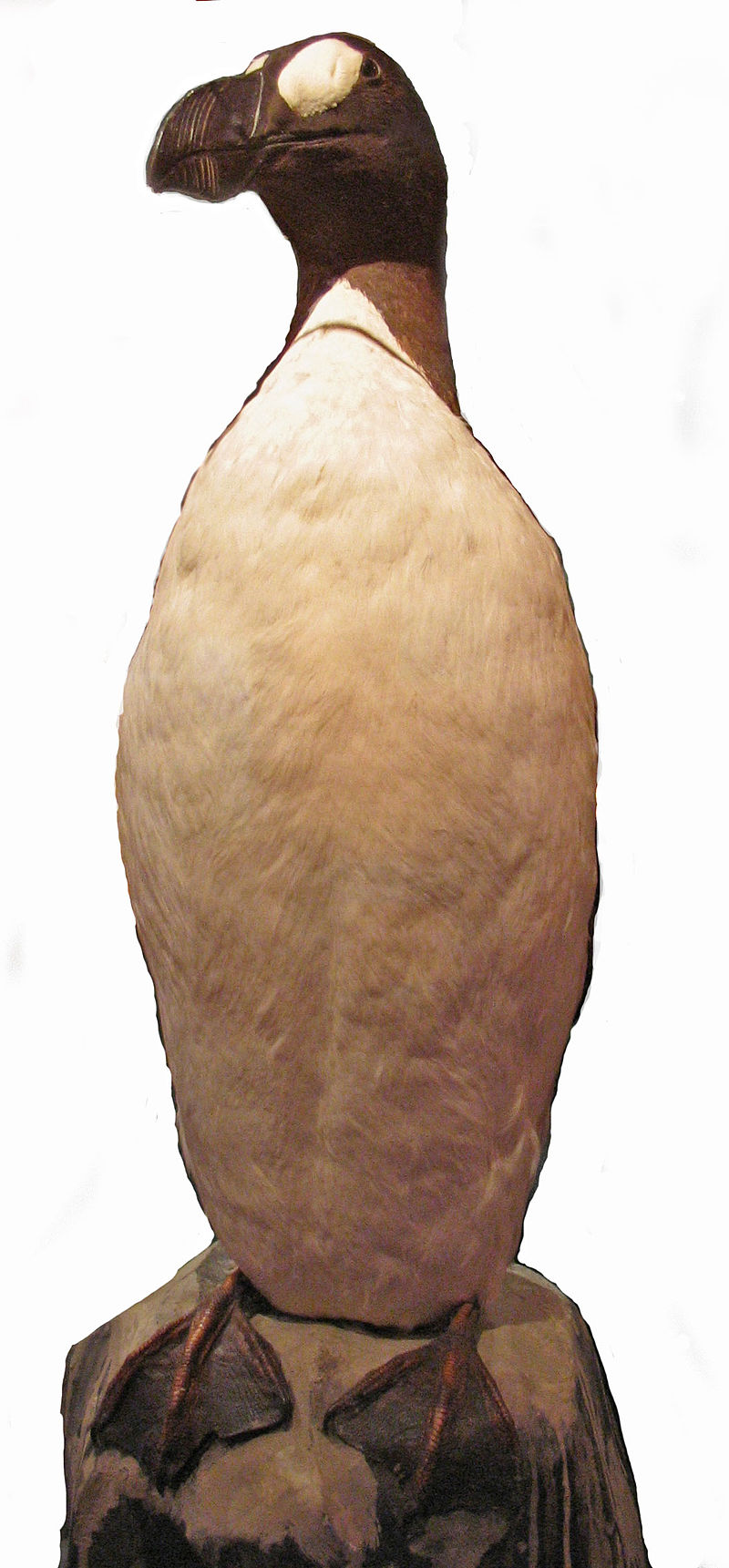 Pinguine